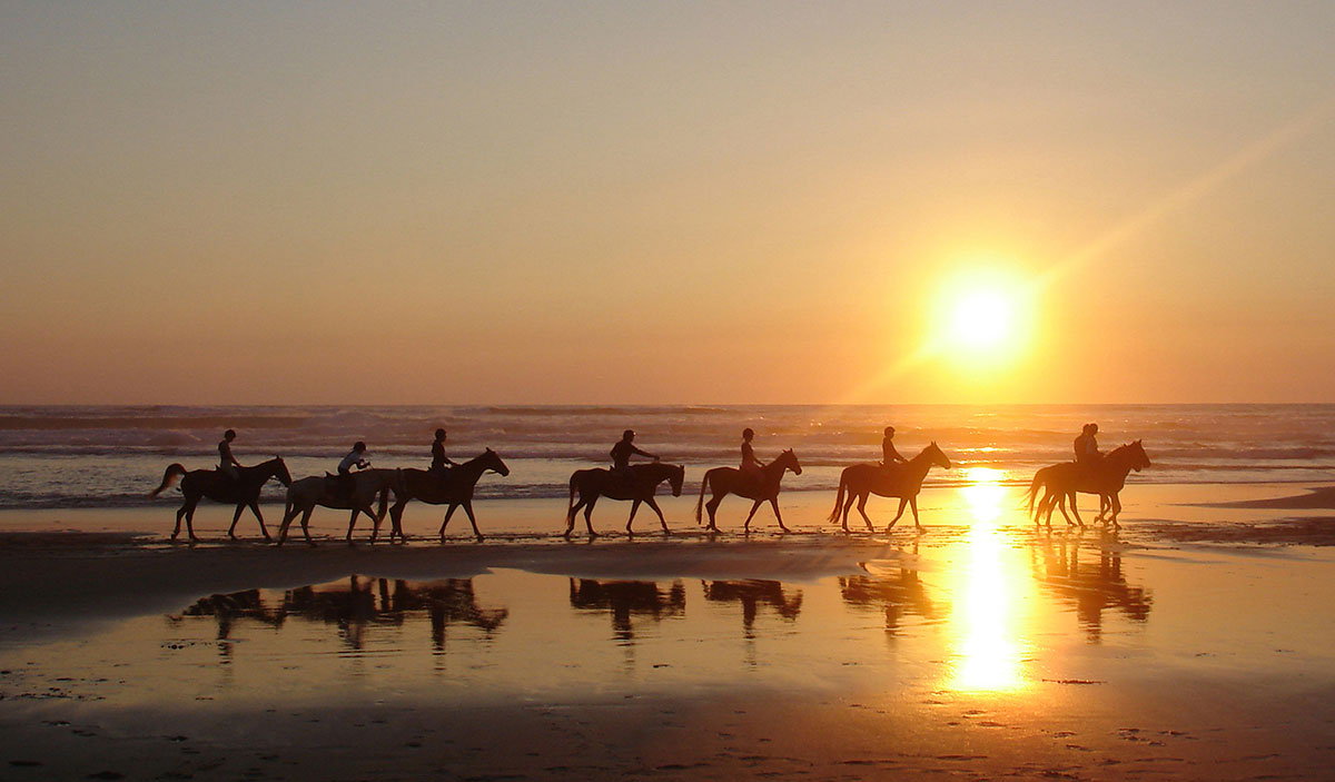 Chiclana Wine & Gastronomy Tours